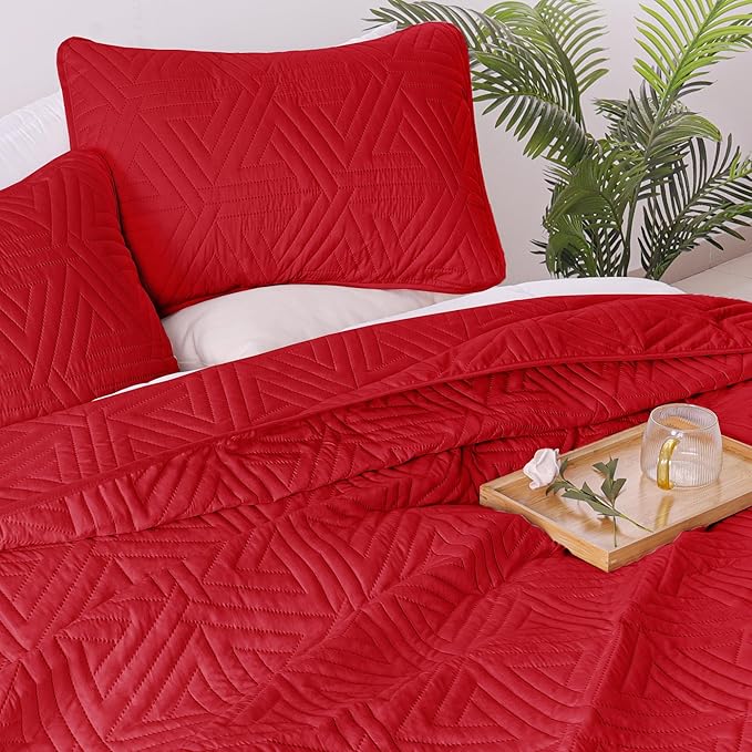 Whale Flotilla Soft Queen Size Quilt Set for All Seasons, 3-Piece Ultrasonic Geometric Quilts Bedding Set, Lightweight Reversible Bedspread, Coverlet, Bed Cover with 2 Pillow Shams, Red