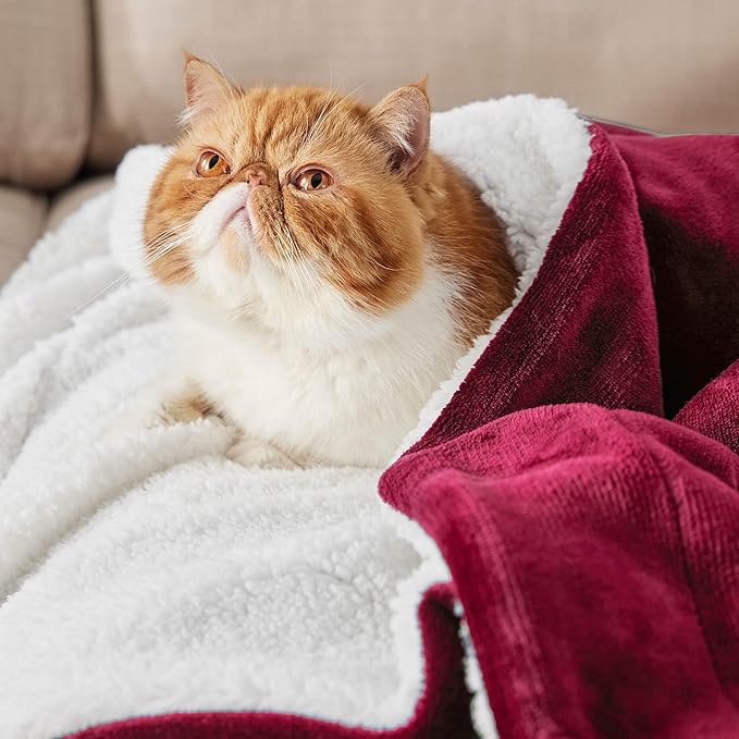 Bedsure GentleSoft Sherpa Fleece Twin Size Blanket for Couch, Non-Heated, Thick and Warm Throw for Girls and Women, Soft Fuzzy Plush Twin Christmas Blanket for Winter, Red, 60x80 Inches