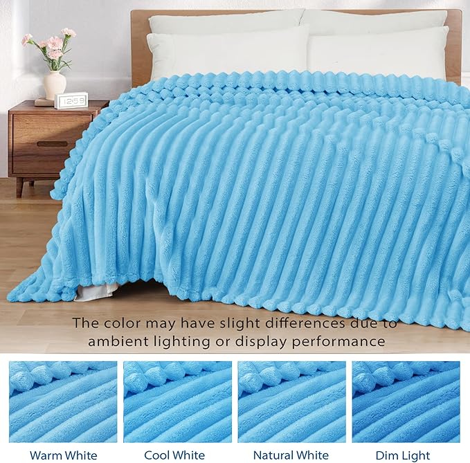 Exclusivo Mezcla Twin Size Flannel Fleece Blanket, Super Soft Striped Jacquard Bed Blanket, Lightweight Fuzzy Cozy for All Seasons, 60x80 Inches, Blue