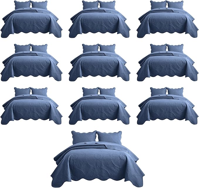 IR Imperial Rooms 10 Pack Queen Quilt Bedding Set (90" x 96") - Bulk Wholesale for Hotels, Guest Bedroom & Airbnbs - Lightweight Microfiber Reversible Floral Embossed Quilts Bedspreads (Light Blue)