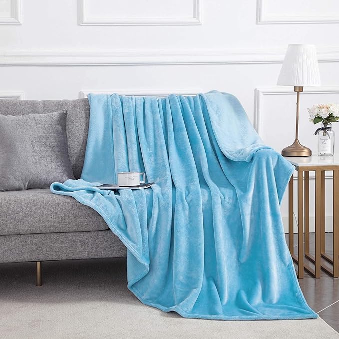 MOONLIGHT20015 Fleece Blanket - Super Soft Fuzzy Throw Blanket for Couch and Sofa - Lightweight Luxury 400 GSM Microfiber Fluffy Bed Blankets and Throws, 50 x 60 Inches (Throw/Travel, Light Blue)
