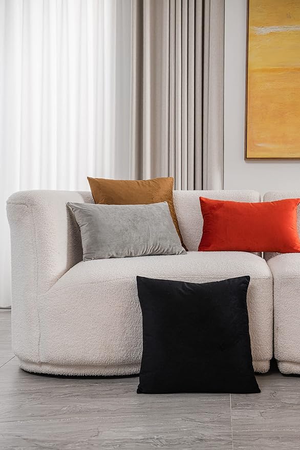 Throw Pillow Covers 18x18 Black: Pack of 2 Cozy Soft Velvet Square Modern Luxury Decorative Throw Pillow Cases for Sofa Couch Living Room Bed Home Decor