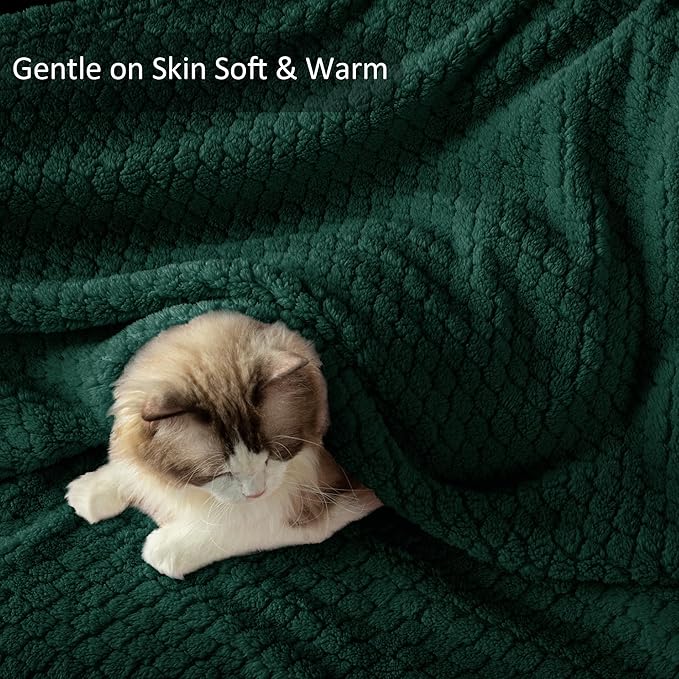 Exclusivo Mezcla Twin Size Fleece Blanket for Bed, Extra Soft Warm Decorative Fuzzy Blanket for Women, Lightweight Cozy Bedding Blankets, 60x80 Inches, Forest Green