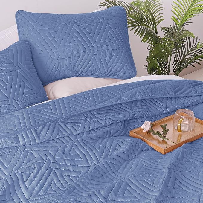 Whale Flotilla Soft Twin Size Quilt Set for All Seasons, 2-Piece Ultrasonic Geometric Quilts Bedding Set, Lightweight Reversible Bedspread, Coverlet, Bed Cover with Pillow Sham, Bluish Grey