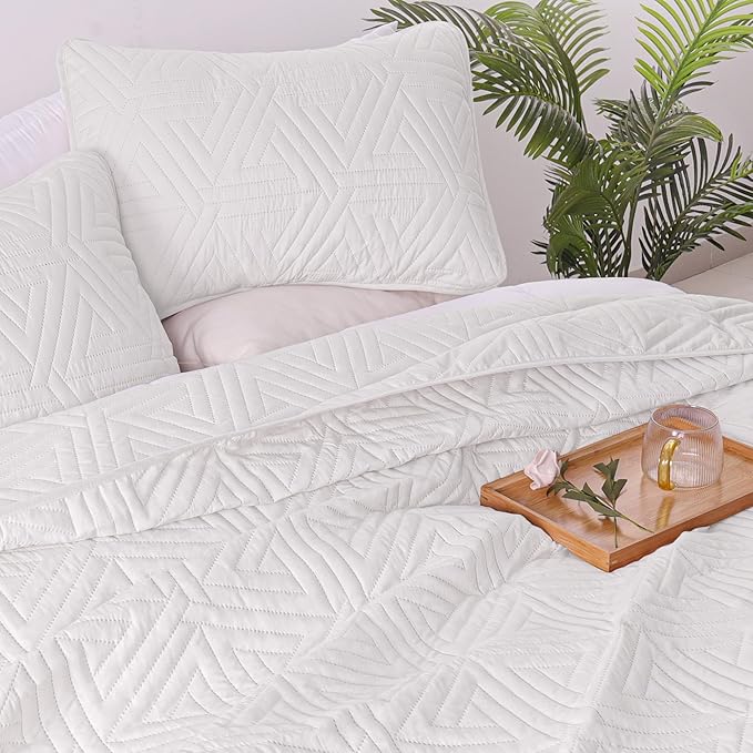 Whale Flotilla Soft Twin Size Quilt Set for All Seasons, 2-Piece Ultrasonic Geometric Quilts Bedding Set, Lightweight Reversible Bedspread, Coverlet, Bed Cover with Pillow Sham, White