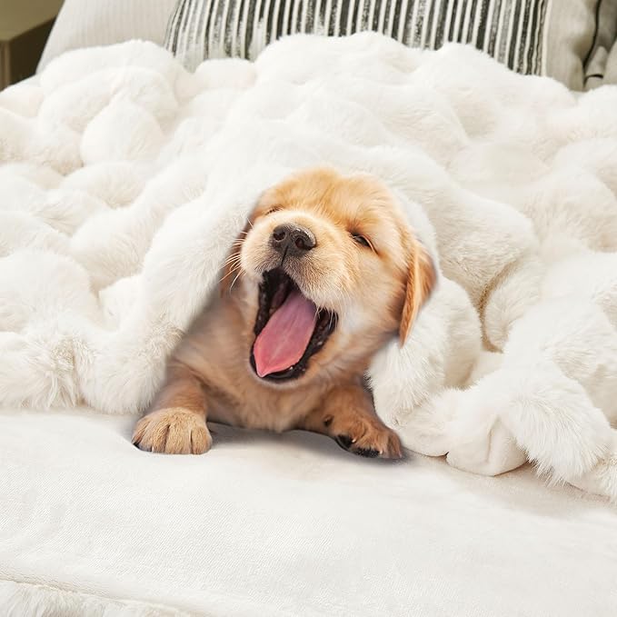 DREAMNINE Soft Faux Bubble Rabbit Fur Blanket Twin Size, Thick Cozy Decorative Warm Fuzzy Fur Blanket for Bed Couch Sofa Chair Bedroom Living Room Dorm Gift, 60 * 70 Inches, Cream White