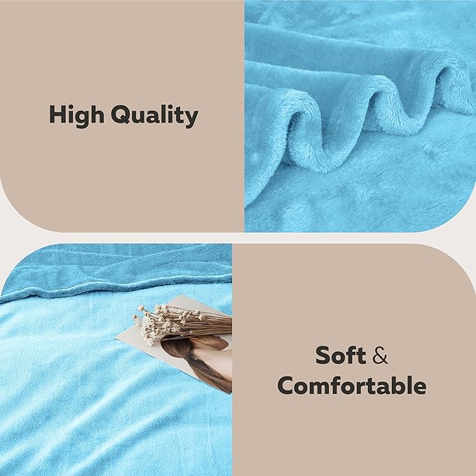 MOONLIGHT20015 Fleece Blanket 2 Pack - Super Soft Fluffy Light Blue Throw Blanket for Sofa and Bed - Warm and Cozy Lightweight 400 GSM Microfiber Bed Throws Blankets, 50x60 Inches (Throw/Travel)