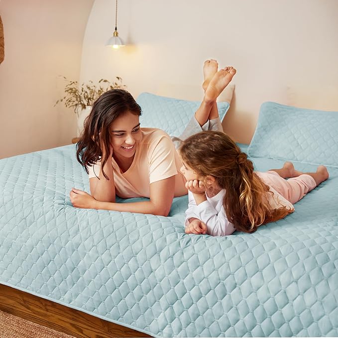 Exclusivo Mezcla Reversible Full Queen Quilt Bedding Set with Pillow Shams, Lightweight Quilts Queen Size, Soft Bedspreads Bed Coverlets for All Seasons - (Light Blue, 90"x96")