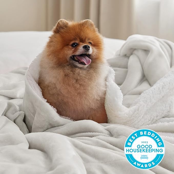 Bedsure GentleSoft Sherpa Fleece Blanket Queen Size for Bed, Non-Heated, Thick and Warm Throw for Women and Men, Soft Fuzzy Plush Queen Blanket for Winter, Linen, 90x90 Inches