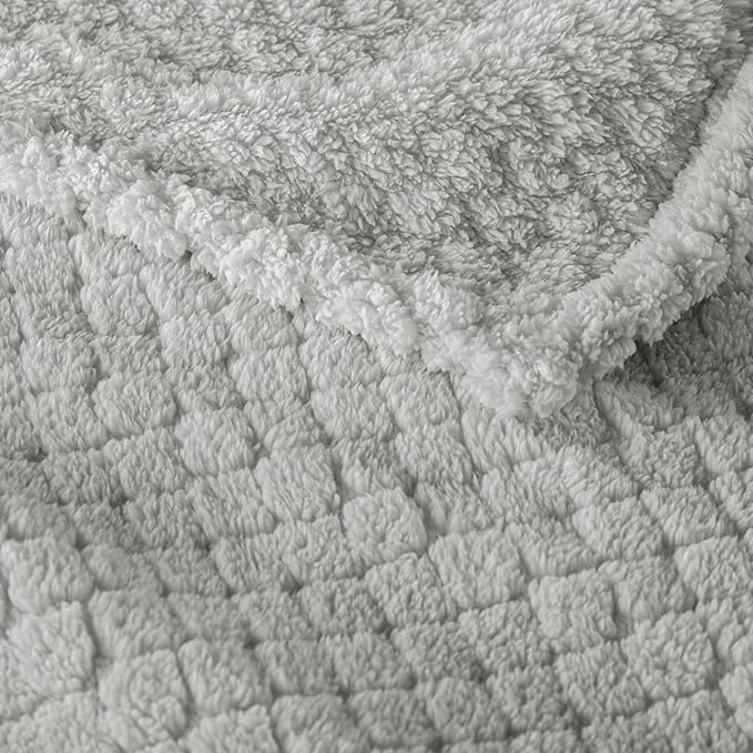Exclusivo Mezcla Twin Size Fleece Blanket for Bed, Extra Soft Warm Decorative Fuzzy Blanket for Women, Lightweight Cozy Bedding Blankets, 60x80 Inches, Light Grey