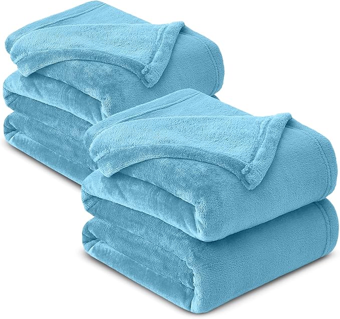 MOONLIGHT20015 Fleece Blanket 2 Pack - Super Soft Fluffy Light Blue Throw Blanket for Sofa and Bed - Warm and Cozy Lightweight 400 GSM Microfiber Bed Throws Blankets, 50x60 Inches (Throw/Travel)