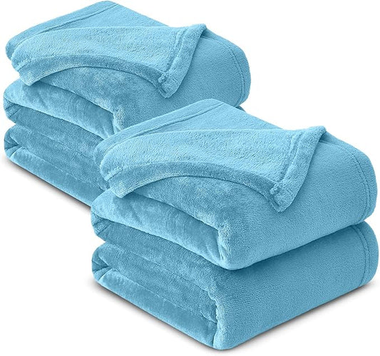 MOONLIGHT20015 Fleece Blanket 2 Pack - Super Soft Fluffy Light Blue Throw Blanket for Sofa and Bed - Warm and Cozy Lightweight 400 GSM Microfiber Bed Throws Blankets, 50x60 Inches (Throw/Travel)