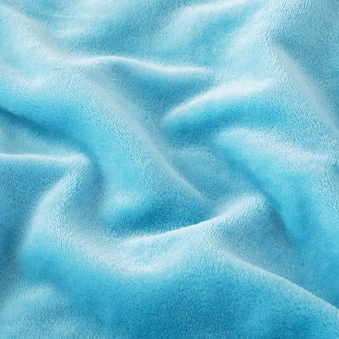 MOONLIGHT20015 Fleece Blanket Queen Size - Super Soft Fuzzy Light Blue Throw Blanket for Couch and Sofa - Lightweight Luxury 400 GSM Microfiber Fluffy Bed Blankets and Throws, 90 x 90 Inches (Queen)