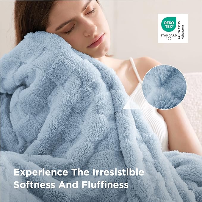 Bedsure GentleSoft Twin Blanket for Bed Light Blue - Super Soft Cozy Blankets for Women Men Girls, Cute Fuzzy Fleece Throws for Bedroom Couch, 60x80 Inches