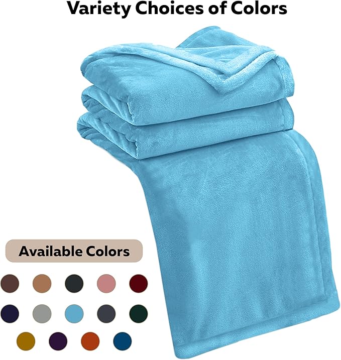 MOONLIGHT20015 Fleece Bed Blanket Queen Size 90x90 inches - 400GSM Anti-Static Lightweight Super Soft Fluffy Fuzzy Plush Blankets Cozy Microfiber Blankets for Couch, Bed, Sofa (Queen, Light Blue)