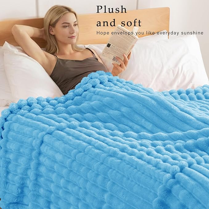 Exclusivo Mezcla Twin Size Flannel Fleece Blanket, Super Soft Striped Jacquard Bed Blanket, Lightweight Fuzzy Cozy for All Seasons, 60x80 Inches, Blue