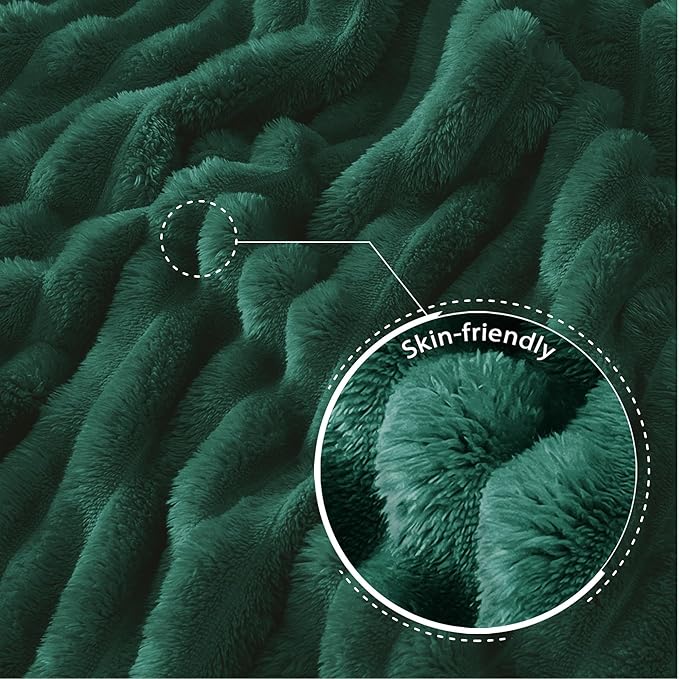 Exclusivo Mezcla Twin Size Flannel Fleece Blanket, Super Soft Striped Jacquard Bed Blanket, Lightweight Fuzzy Cozy for All Seasons, 60x80 Inches, Forest Green
