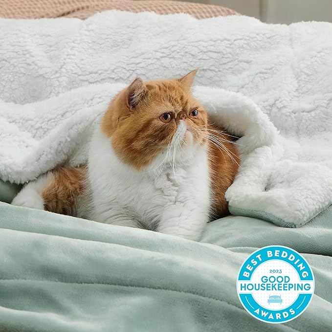 Bedsure GentleSoft Sherpa Fleece Blanket Queen Size for Bed, Non-Heated, Thick and Warm Throw for Women and Men, Soft Fuzzy Plush Queen Blanket for Winter, Sage Green, 90x90 Inches