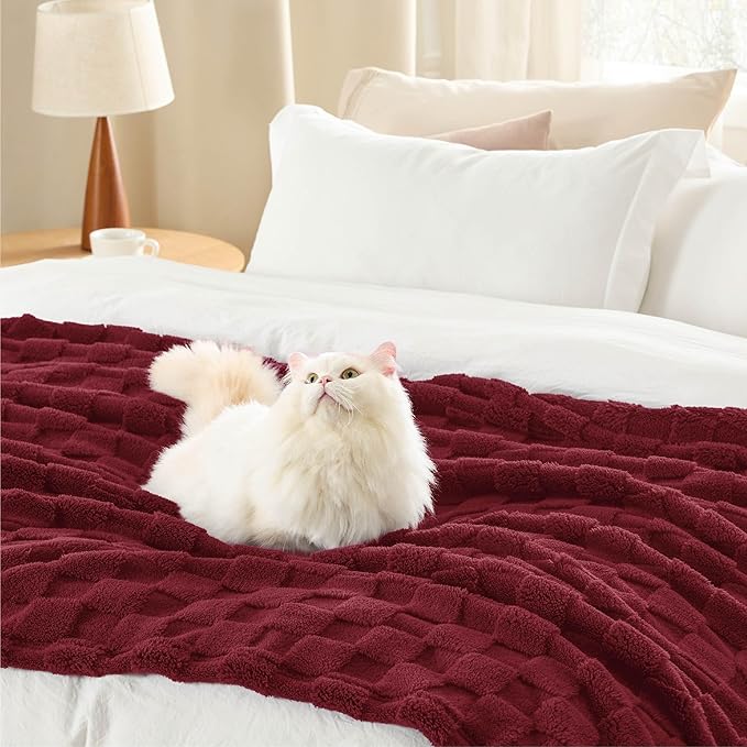 Bedsure GentleSoft Twin Blanket for Bed Red - Super Soft Cozy Blankets for Women Men Girls, Cute Fuzzy Fleece Throws for Bedroom Couch, 60x80 Inches