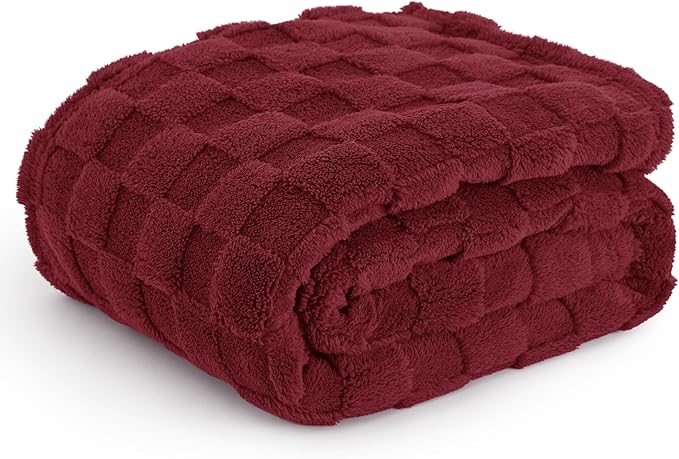 Bedsure GentleSoft Twin Blanket for Bed Red - Super Soft Cozy Blankets for Women Men Girls, Cute Fuzzy Fleece Throws for Bedroom Couch, 60x80 Inches