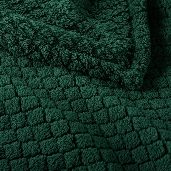 Exclusivo Mezcla Twin Size Fleece Blanket for Bed, Extra Soft Warm Decorative Fuzzy Blanket for Women, Lightweight Cozy Bedding Blankets, 60x80 Inches, Forest Green
