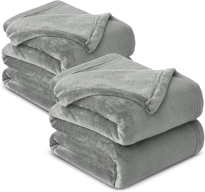 MOONLIGHT20015 Fleece Blanket 2 Pack - Super Soft Fluffy Light Grey Throw Blanket for Sofa and Bed - Warm and Cozy Lightweight 400 GSM Microfiber Bed Throws Blankets, 50x60 Inches (Throw/Travel)