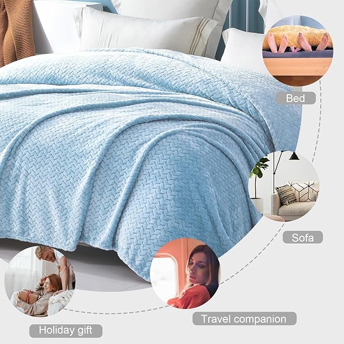 Exclusivo Mezcla Fleece Throw Blanket for Couch and Bed, 50x70 Inches Soft Cozy Jacquard Flannel Blankets, Lightweight Fuzzy Plush Warm Throws for Women, Light Blue