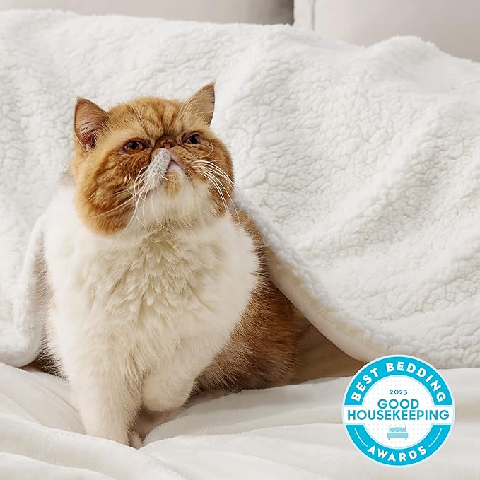 Bedsure GentleSoft Sherpa Fleece Twin Size Blanket for Couch, Non-Heated, Thick and Warm Throw for Women and Men, Soft Fuzzy Plush Twin Blanket for Winter, Cream, 60x80 Inches