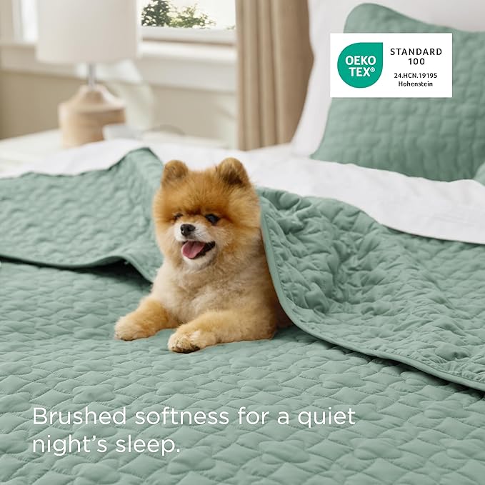 Bedsure Quilts Queen Size - Lightweight Bedspreads Queen Size with Lucky Star Quilting, Soft Quilt Bedding Set, Sage Green Comforter Set Coverlet for All Seasons with 2 Pillow Shams (90" x 96")