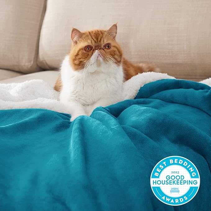 Bedsure GentleSoft Sherpa Fleece Twin Size Blanket for Couch, Non-Heated, Thick and Warm Throw for Women and Men, Soft Fuzzy Plush Twin Blanket for Winter, Teal, 60x80 Inches