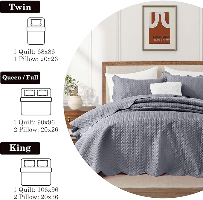 IR Imperial Rooms Queen Quilt Bedding Set Size (90" x 96") + 2 Pillow Shams (20" x 26"+ 2") - 3 Pcs All Season Lightweight Reversible Microfiber Coverlet Embossed Quilt Bedspread (Silver)