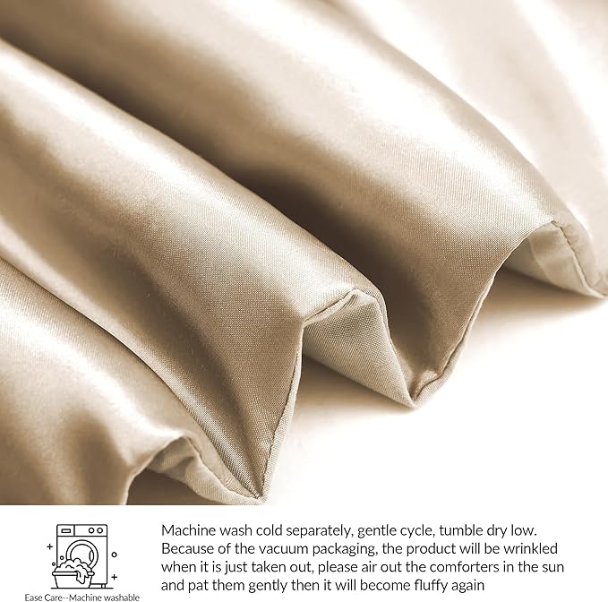 Whale Flotilla 3-Piece Reversible Silky Soft Queen Comforter Bedding Set, Luxurious Satin Comforters Full Size with 2 Satin Pillowcases, Lightweight Duvet for All Seasons, Champagne