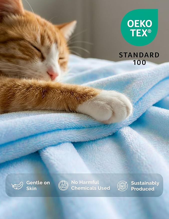 Casa Platino Fleece Blanket Twin Size – 300 GSM Light Blue Fleece Throw for Bed or Couch – Soft Cozy Warm Holiday Bed Blanket for Winter, Fuzzy Plush Elegant Gifts for Kids, Men & Women - 68x90 Inch
