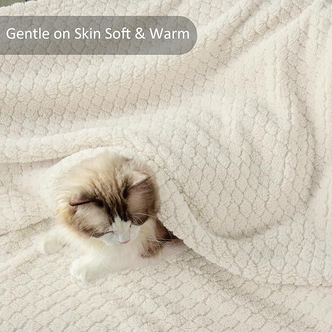 Exclusivo Mezcla Queen Size Fleece Blanket for Bed, Extra Soft Warm Decorative Fuzzy Blanket for Women, Lightweight Cozy Bedding Blankets, 90x90 Inches, Ivory