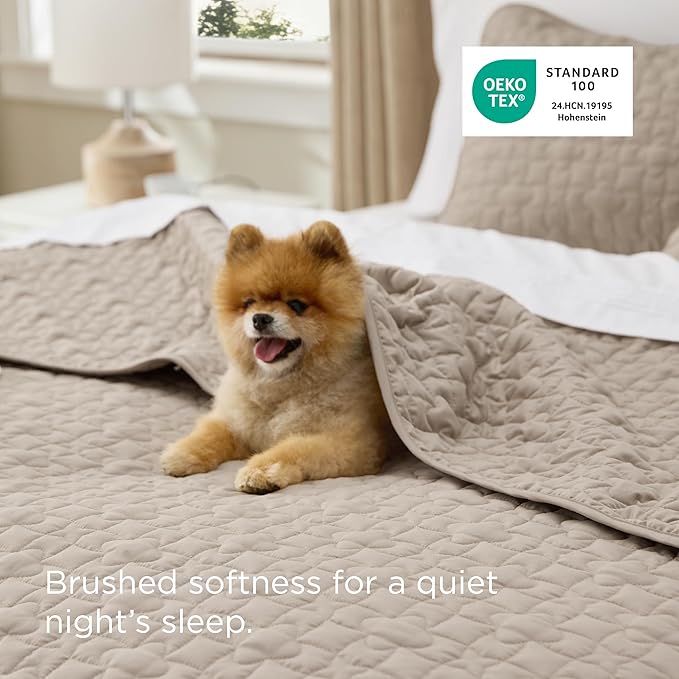 Bedsure Quilts Queen Size - Lightweight Bedspreads Queen Size with Lucky Star Quilting, Soft Quilt Bedding Set, Taupe Comforter Set Coverlet for All Seasons with 2 Pillow Shams (90" x 96")