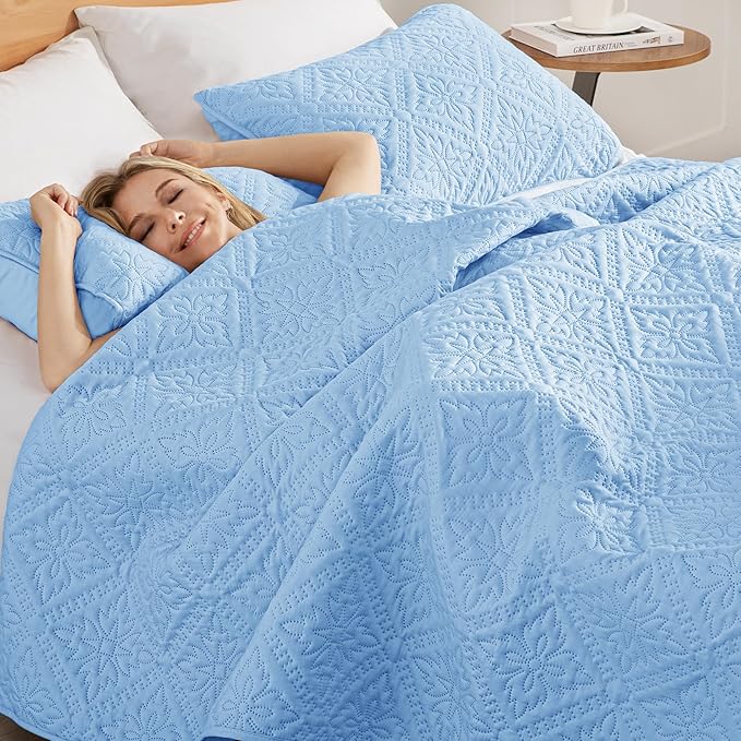 Exclusivo Mezcla Queen Quilt Bedding Set, Lightweight Soft Bedspreads Coverlets with 2 Pillow Shams, Modern Light Blue Quilts Queen Full Size for All Seasons