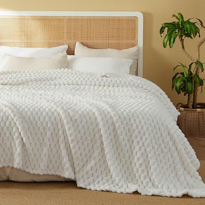 Bedsure GentleSoft Blankets Queen Size for Bed - 350GSM Super Soft Cozy Blanket for Women Men Girls as Gifts, Large Fuzzy Fleece Throw for Bedroom Home Decor, Off White, 90x90 Inches