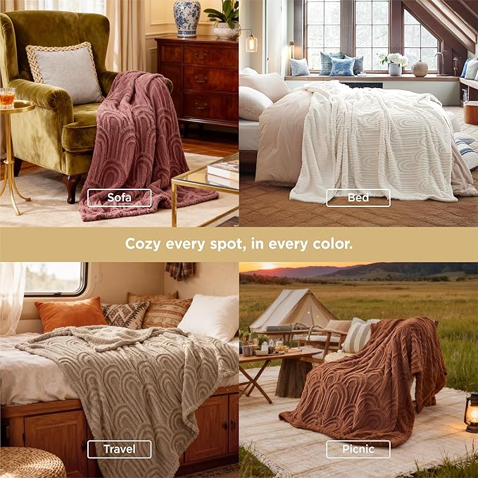 Bedsure GentleSoft Twin Blanket for Bed - Cozy Soft Blankets for Women, Cute Small Fleece Throws for Girls, Graduation Decorations Gift for Her Him School Dorm, Blue, 60x80 Inches