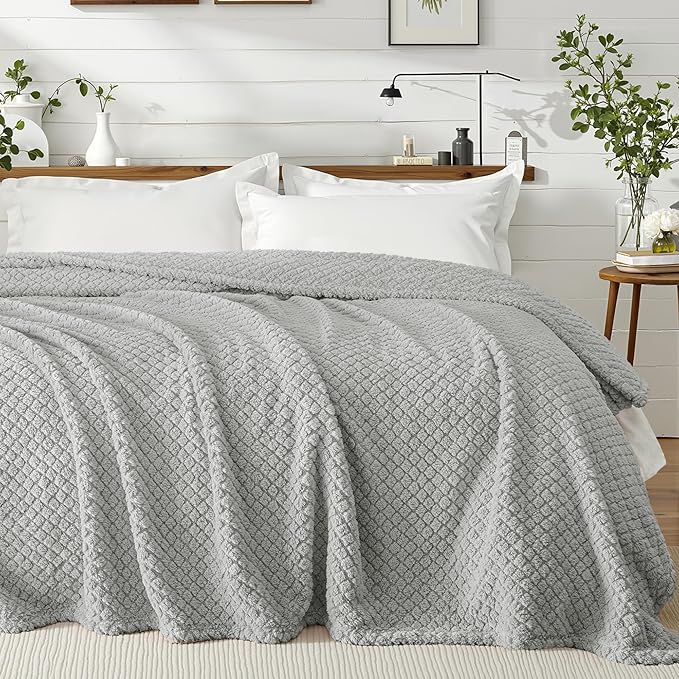 Exclusivo Mezcla Twin Size Fleece Blanket for Bed, Extra Soft Warm Decorative Fuzzy Blanket for Women, Lightweight Cozy Bedding Blankets, 60x80 Inches, Light Grey