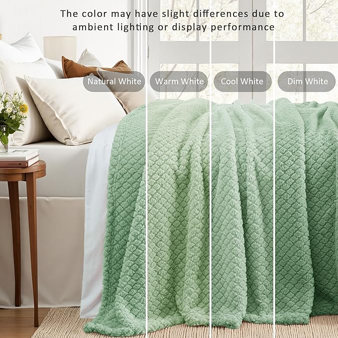 Exclusivo Mezcla Twin Size Fleece Blanket for Bed, Extra Soft Warm Decorative Fuzzy Blanket for Women, Lightweight Cozy Bedding Blankets, 60x80 Inches, Sage Green