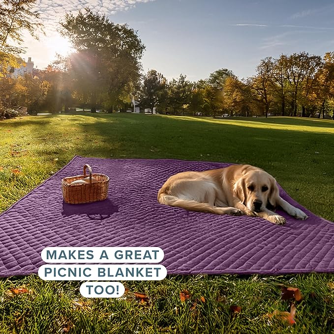 Bare Home Coverlet Set - Full/Queen - Lightweight Bed Decor - Comforter Alternative - All-Season Quilted Bedspread (Full/Queen, Plum)