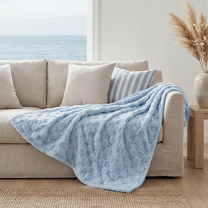 Bedsure GentleSoft Twin Blanket for Bed Light Blue - Super Soft Cozy Blankets for Women Men Girls, Cute Fuzzy Fleece Throws for Bedroom Couch, 60x80 Inches