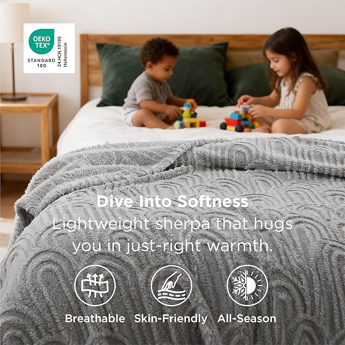 Bedsure GentleSoft Fleece Blanket Queen Size for Bed - Super Soft & Cozy, Fluffy Blankets for Women & Girls, Ideal for Sofa & Couch, Light Grey, 90x90 Inches