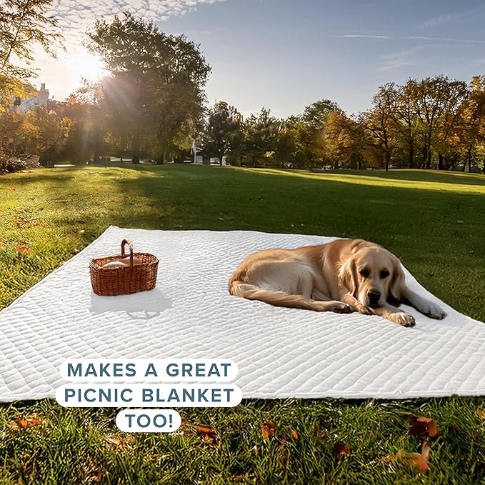 Bare Home Coverlet Set - King Size - Lightweight Bed Decor - Comforter Alternative - All-Season Quilted Bedspread (King, White)