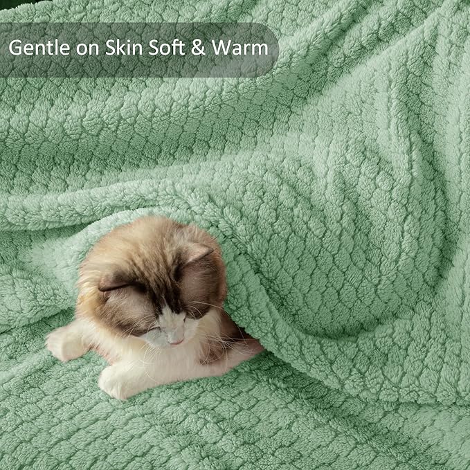 Exclusivo Mezcla Twin Size Fleece Blanket for Bed, Extra Soft Warm Decorative Fuzzy Blanket for Women, Lightweight Cozy Bedding Blankets, 60x80 Inches, Sage Green