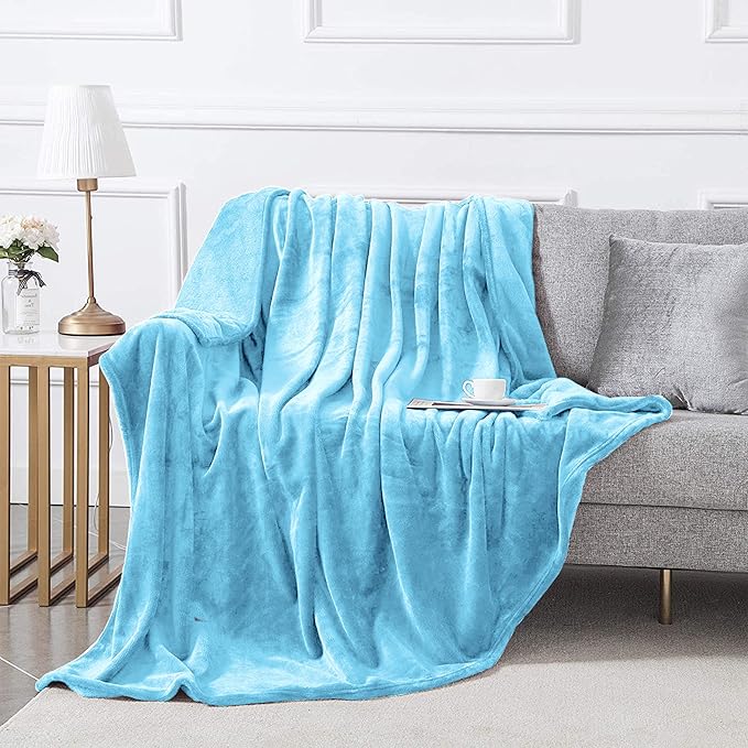 MOONLIGHT20015 Fleece Blanket 2 Pack - Super Soft Fluffy Light Blue Throw Blanket for Sofa and Bed - Warm and Cozy Lightweight 400 GSM Microfiber Bed Throws Blankets, 50x60 Inches (Throw/Travel)
