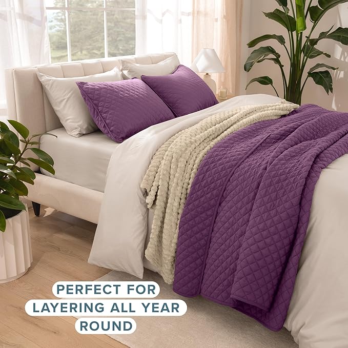 Bare Home Coverlet Set - Full/Queen - Lightweight Bed Decor - Comforter Alternative - All-Season Quilted Bedspread (Full/Queen, Plum)