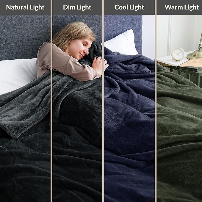 MOONLIGHT20015 Fleece Blankets Queen Size 90x90 Inches- 2 Pack - Super Soft Fluffy Throw Blanket for Sofa and Bed - Warm and Cozy Lightweight 400 GSM Microfiber Bed Throws Blankets (Queen, Black)