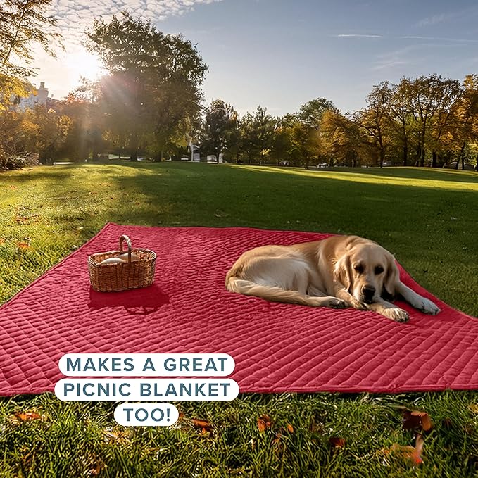 Bare Home Coverlet Set - King Size - Lightweight Bed Decor - Comforter Alternative - All-Season Quilted Bedspread (King, Red)
