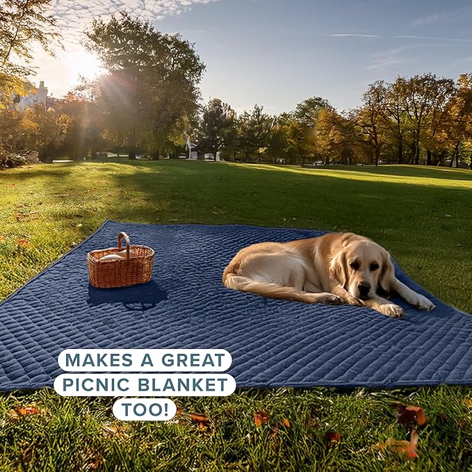 Bare Home Coverlet Set - King Size - Lightweight Bed Decor - Comforter Alternative - All-Season Quilted Bedspread (King, Dark Blue)